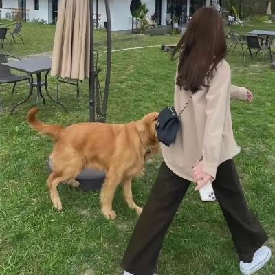 演播时刻第一季
